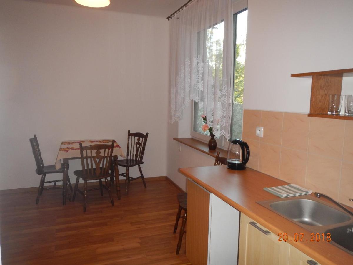 Apartament Providentia Zakopane Witkiewicza 3 Экстерьер фото