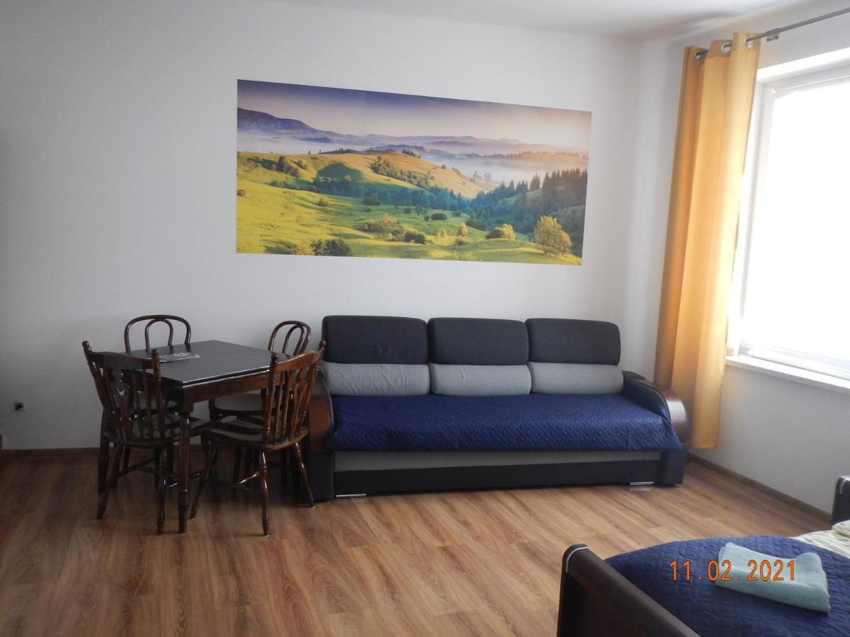 Apartament Providentia Zakopane Witkiewicza 3 Экстерьер фото