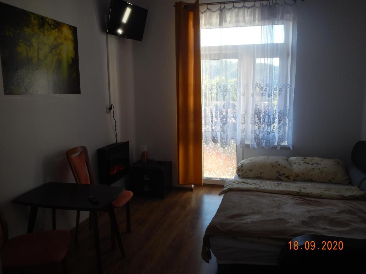 Apartament Providentia Zakopane Witkiewicza 3 Экстерьер фото