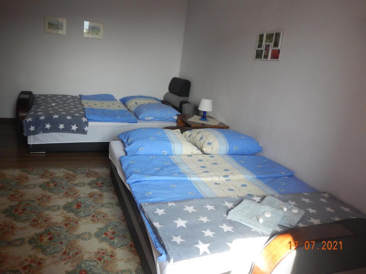 Apartament Providentia Zakopane Witkiewicza 3 Экстерьер фото