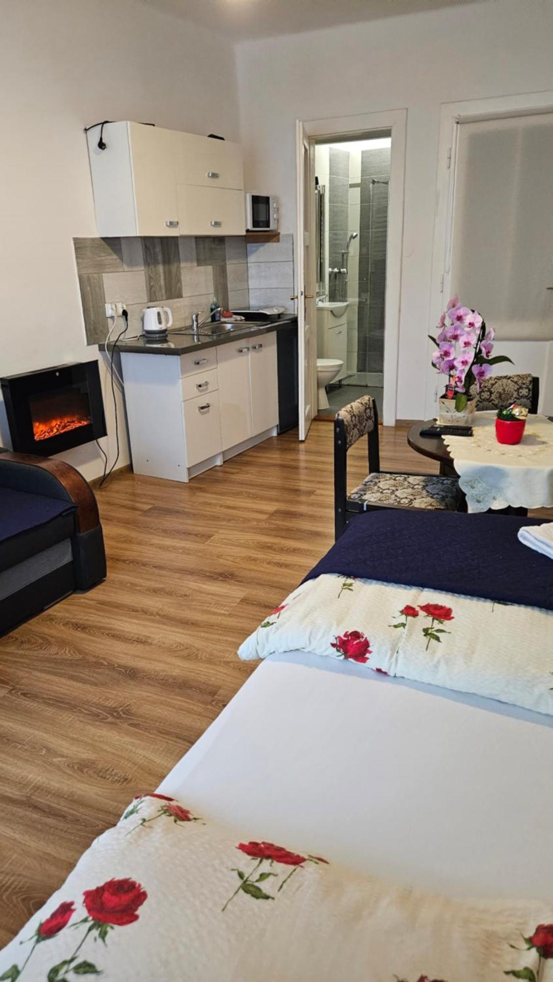 Apartament Providentia Zakopane Witkiewicza 3 Экстерьер фото